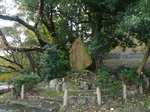 higashiyama3.jpp.jpg